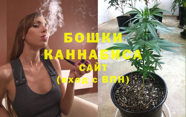 спиды Гусев