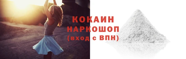 прущие грибы Гусиноозёрск